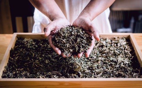 Come riutilizzare le foglie del tè: idee naturali e sostenibili