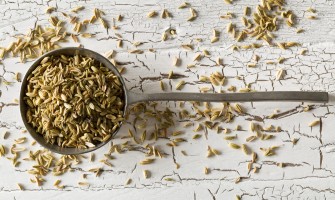Semi di finocchio selvatico: proprietà, benefici e tisane naturali
