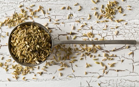 Semi di finocchio selvatico: proprietà, benefici e tisane naturali