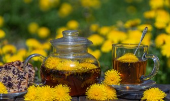 Tarassaco tisana: uso tradizionale e modalità di preparazione