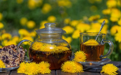 Tarassaco tisana: uso tradizionale e modalità di preparazione
