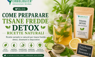 Come preparare tisane fredde detox ricette naturali per idratazione e benessere estivo