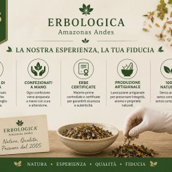 Agrimonia tisana composta