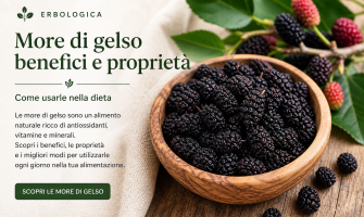 More di gelso essiccate: benefici, proprietà e come usarle ogni giorno