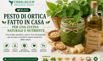 Pesto di ortica fatto in casa per una cucina naturale e nutriente