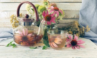 Tisana all’echinacea rinforza le difese e ritrova equilibrio naturale
