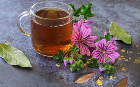 Tisana alla malva e propoli rimedio naturale per gola e digestione