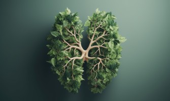 Depurare e curare i reni con rimedi naturali
