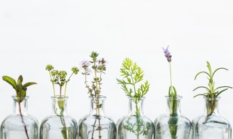 Grappe aromatiche per l'estate: le migliori erbe da utilizzare