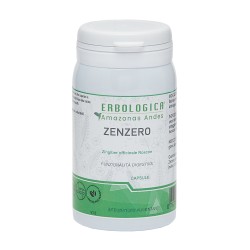 Zenzero estratto secco capsule