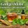 Ginkgo biloba per memoria e concentrazione