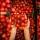 Pomodoro: proprietà naturali e benefici per il benessere quotidiano