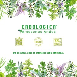Enula tisana composta 100 grammi