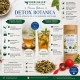 Detox Botanica Premium con Tarassaco, Ortica, Mate Verde, Lemongrass e Menta - Infuso naturale confezionato a mano in Italia