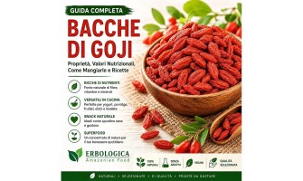 Bacche di Goji: Proprietà, Valori Nutrizionali, Come Mangiarle e Guida Completa