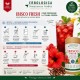 Ibisco Fresh Infuso Botanico istruzioni