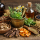 Erbe per liquori artigianali: guida alle piante aromatiche per amari e digestivi fatti in casa