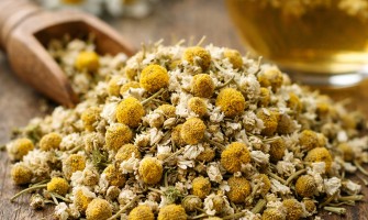 Camomilla: proprietà, benefici, usi e sicurezza 