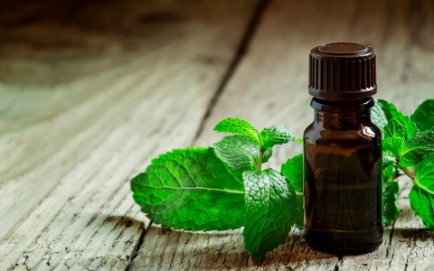 Menta piperita olio essenziale usi e benefici