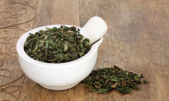 Parietaria pianta usi e benefici per la salute