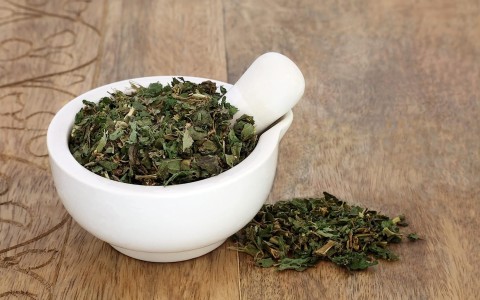 Parietaria pianta usi e benefici per la salute