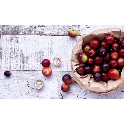 Frutti freschi di Camu Camu (Myrciaria dubia) disposti su superficie chiara, bacca amazzonica naturalmente ricca di vitamina C utilizzata nei prodotti Erbologica Amazonas Andes.