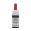 Olio essenziale di menta piperita 10 ml alimentare e cosmetico