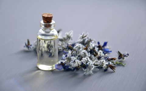 Erbe officinali che curano la dermatite
