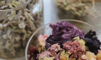 Erbe officinali efficaci per il trattamento delle emorroidi