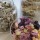 Erbe officinali efficaci per il trattamento delle emorroidi