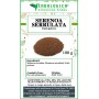 Serenoa serrulata frutti polvere