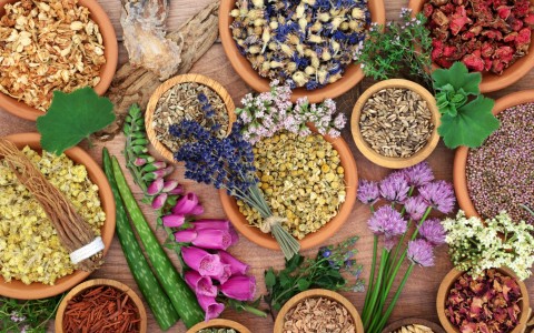 Panoramica Completa sui Benefici delle Erbe Medicinali