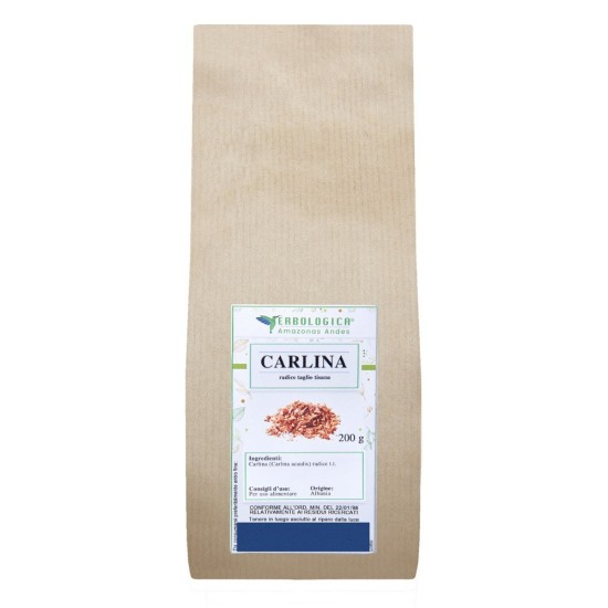 Sacchetto kraft da 200g di Carlina (Carlina acaulis) radice taglio tisana Erbologica Amazonas Andes