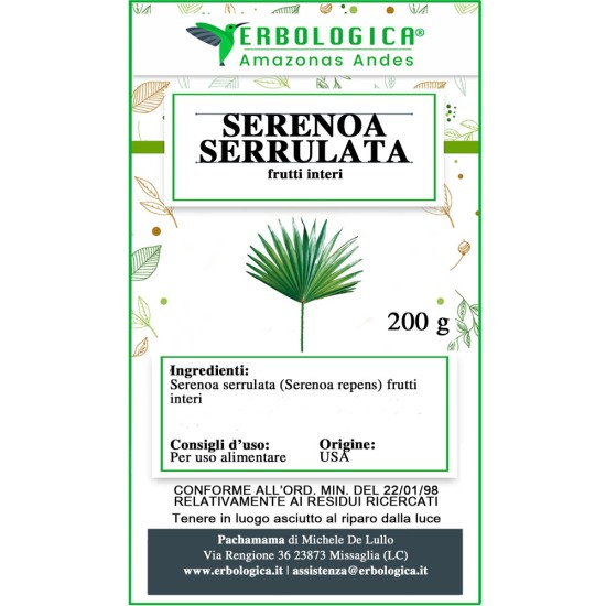 Serenoa serrulata frutti interi