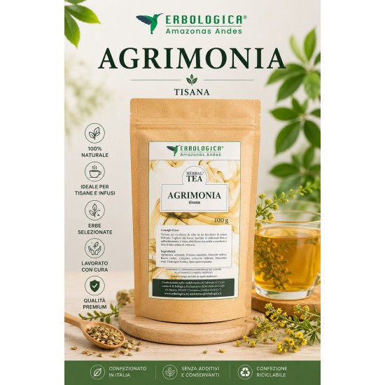 Agrimonia Tisana composta Erbologica Amazonas Andes 100 g