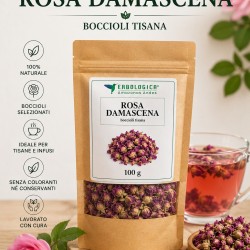 Rosa damascena tisana