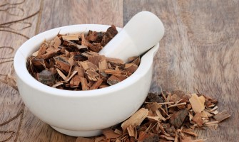 Serenoa repens nella tradizione erboristica: caratteristiche e utilizzo