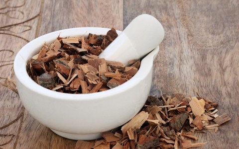 Serenoa repens nella tradizione erboristica: caratteristiche e utilizzo