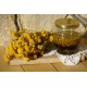 Elicriso Fiori Tisana Erbologica Amazonas Andes Fiori di Elicriso essiccati per tisana Erbologica Amazonas Andes con infuso naturale in barattolo di vetro