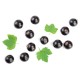 Ribes nero foglie taglio tisana Ribes nero foglie taglio tisana