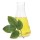 Olio di copaiba e i suoi benefici