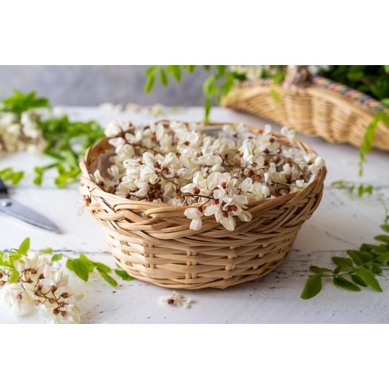 Tisana di Acacia (Robinia): utilizzo tradizionale e preparazione