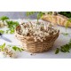 Tisana di Acacia (Robinia): utilizzo tradizionale e preparazione