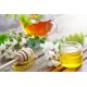 Tisana di Acacia (Robinia): utilizzo tradizionale e preparazione