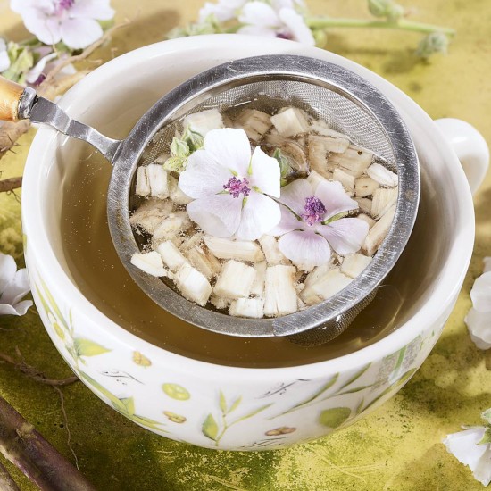 Tisana di Altea radice naturale Erbologica Amazonas Andes Tazza di tisana con filtro in metallo contenente radice di Altea e fiori decorativi su sfondo naturale.