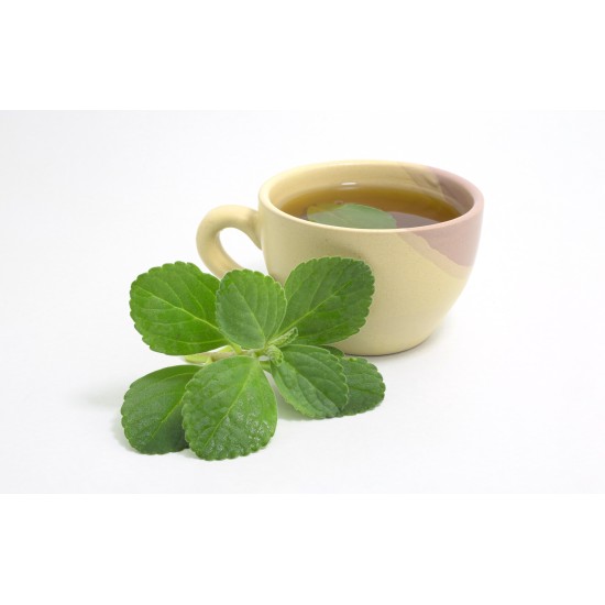 Tazza di tisana al boldo con foglie fresche di boldo in primo piano su sfondo chiaro.