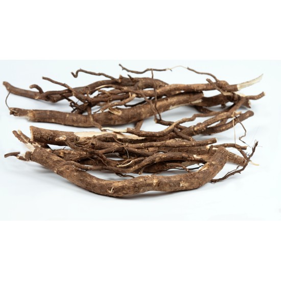 Radice di Eleuterococco essiccata taglio tisana Erbologica Amazonas Andes