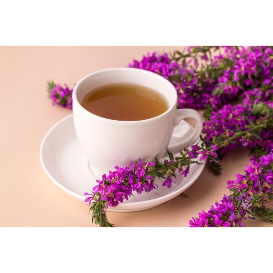 Tazza di tisana di Epilobium Parviflorum circondata da fiori di epilobio viola, immagine naturale per infuso alle erbe.