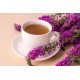 Tazza di tisana di Epilobium Parviflorum circondata da fiori di epilobio viola, immagine naturale per infuso alle erbe.