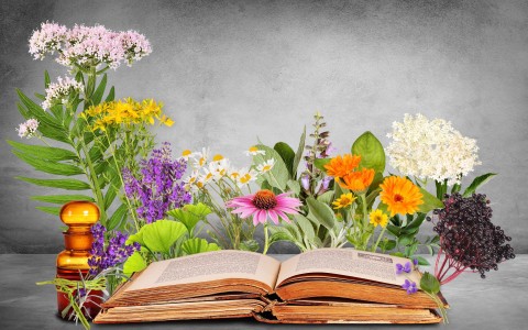 Erbe sfuse per tisane guida completa all'Erboristeria e Fitoterapia